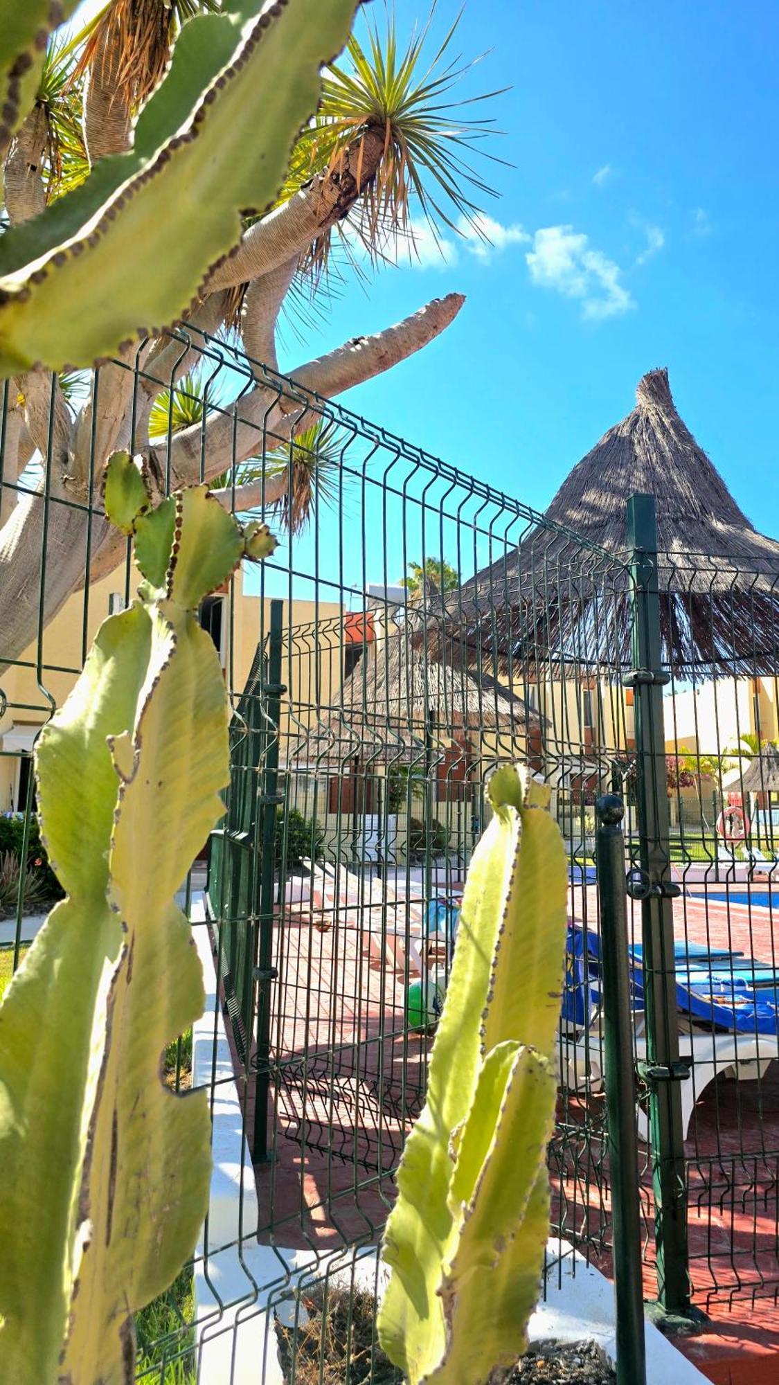 Dream Holiday Las Americas Playa de las Américas Extérieur photo